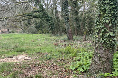 Terrain  90000 €