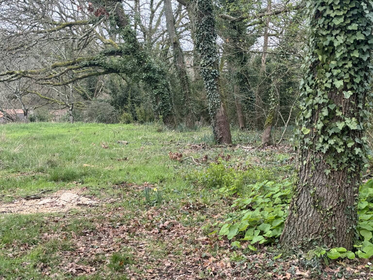 TERRAIN A BATIR - LOT 13 - SAINT BENOIT — photo 1