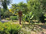 Charmante longère avec jardin à Saint-Germain-des-Prés — photo 2