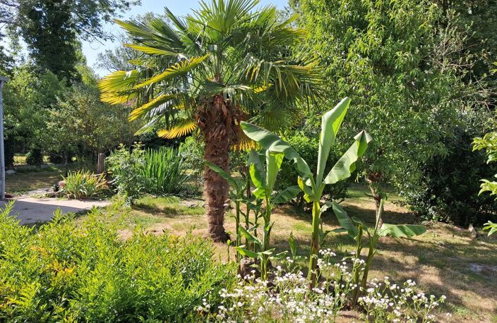 Charmante longère avec jardin à Saint-Germain-des-Prés — photo 2