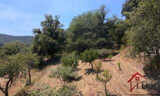 Terrain  1557 m² à vendre à Collobrières (83610)
