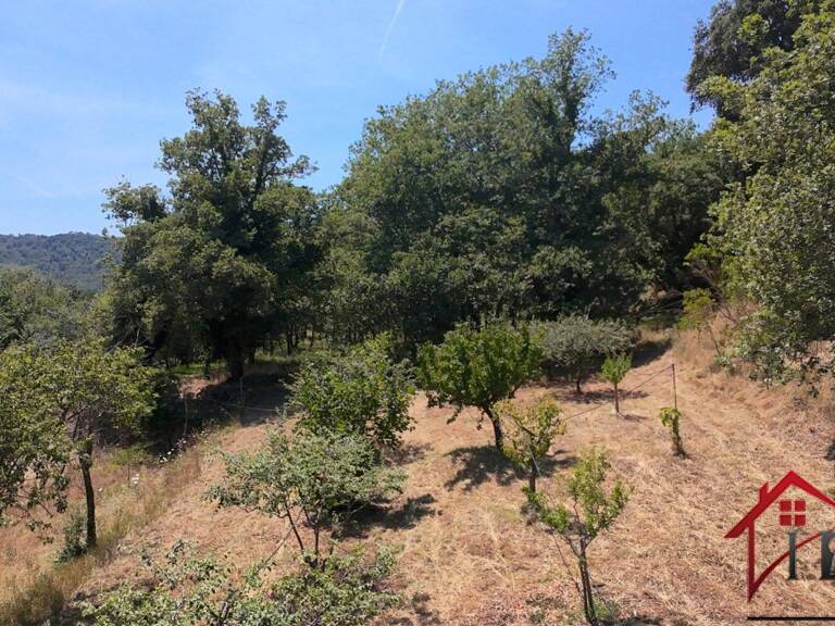 Terrain à Bâtir - Collobrières - libre constructeur — photo 1