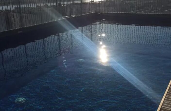 T3 — photo 5