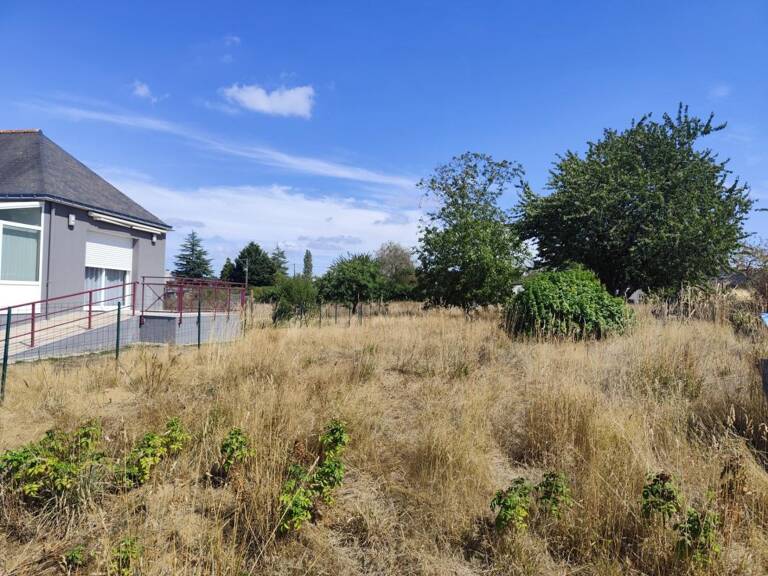 Terrain — photo 1