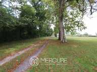 PROPRIETE A RESTAURER EN BRENNE — photo 3