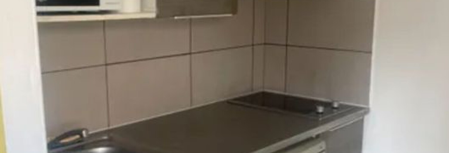 Appartement 1 Pièce 20 m² à louer à Roanne (42300)