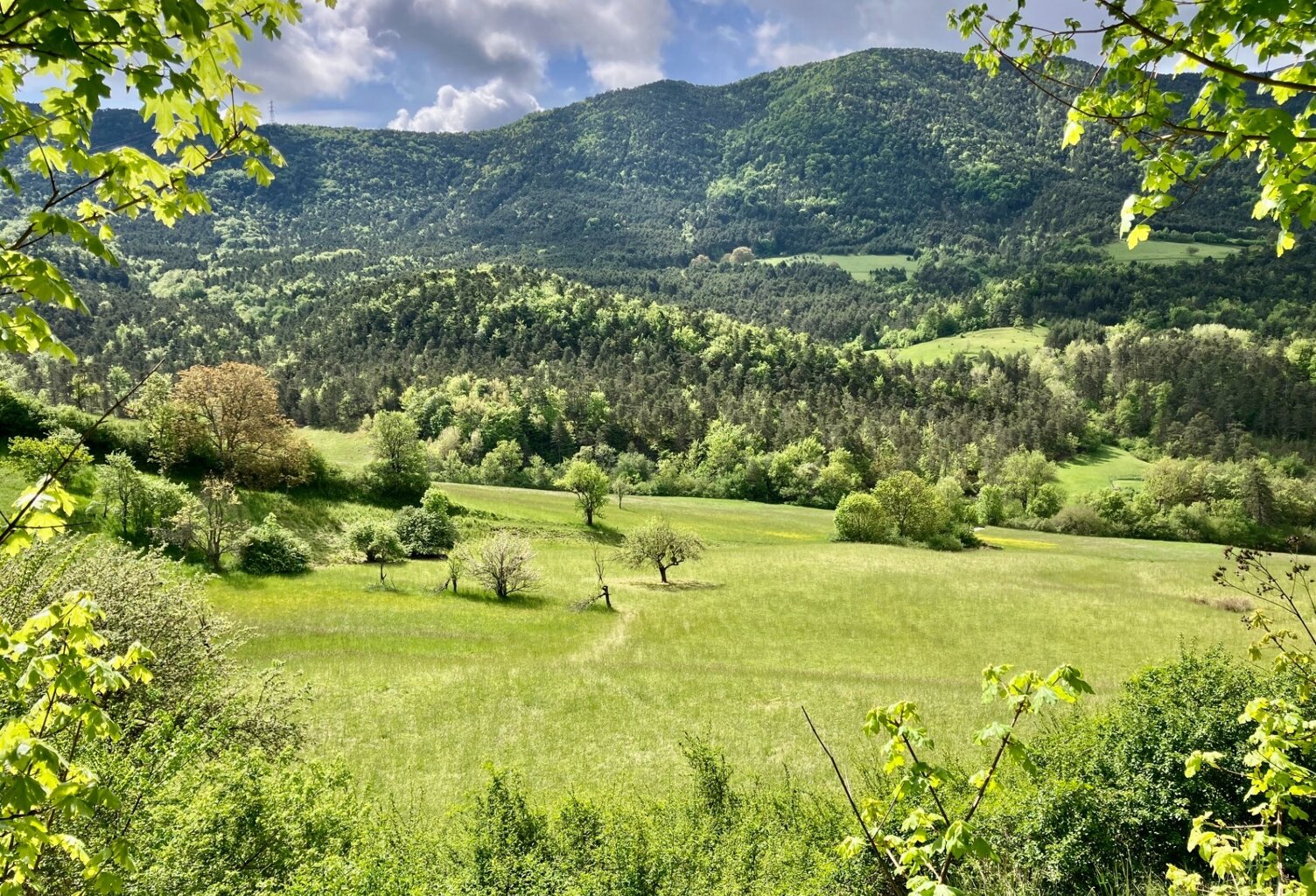 Dpt Alpes de Haute Provence (04), à vendre Proche ENTREVAUX Superbe terrain de plus d'un hectare avec vue montagnes — photo 1