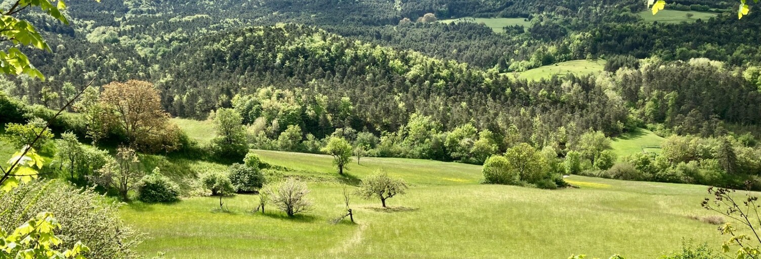 Terrain  12283 m² à vendre à Val-de-Chalvagne (04320)