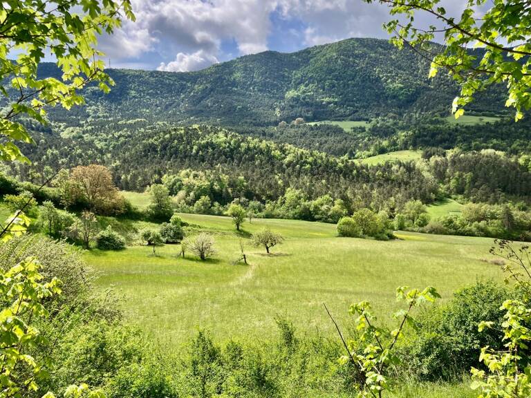 Dpt Alpes de Haute Provence (04), à vendre Proche ENTREVAUX Superbe terrain de plus d'un hectare avec vue montagnes — photo 1