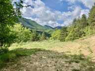 Dpt Alpes de Haute Provence (04), à vendre Proche ENTREVAUX Superbe terrain de plus d'un hectare avec vue montagnes — photo 2