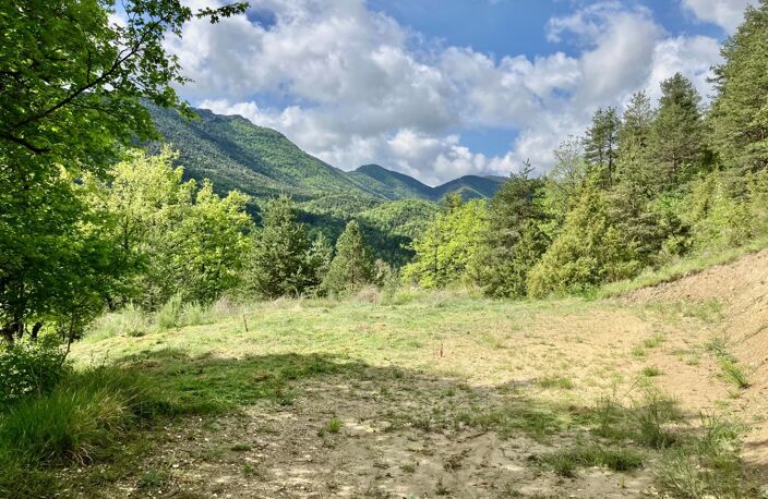 Dpt Alpes de Haute Provence (04), à vendre Proche ENTREVAUX Superbe terrain de plus d'un hectare avec vue montagnes — photo 2