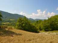 Dpt Alpes de Haute Provence (04), à vendre Proche ENTREVAUX Superbe terrain de plus d'un hectare avec vue montagnes — photo 3