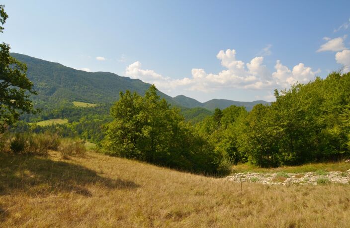Dpt Alpes de Haute Provence (04), à vendre Proche ENTREVAUX Superbe terrain de plus d'un hectare avec vue montagnes — photo 3