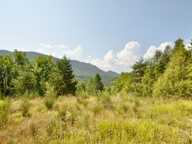 Dpt Alpes de Haute Provence (04), à vendre Proche ENTREVAUX Superbe terrain de plus d'un hectare avec vue montagnes — photo 4