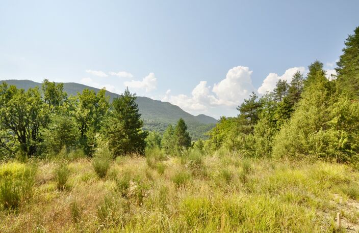 Dpt Alpes de Haute Provence (04), à vendre Proche ENTREVAUX Superbe terrain de plus d'un hectare avec vue montagnes — photo 4