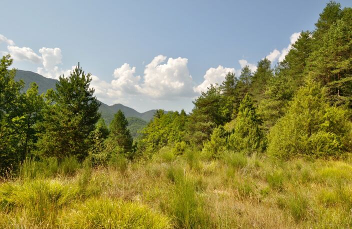 Dpt Alpes de Haute Provence (04), à vendre Proche ENTREVAUX Superbe terrain de plus d'un hectare avec vue montagnes — photo 5