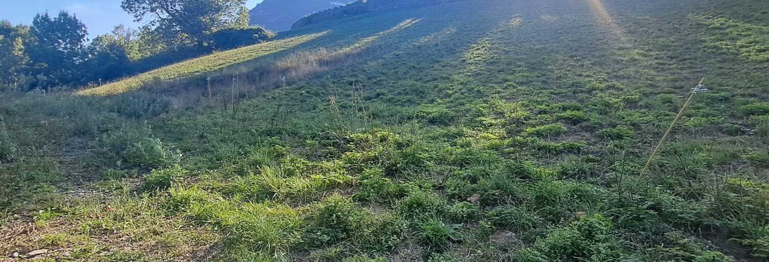 Terrain  7511 m² à vendre à Beyrède-Jumet-Camous (65410)