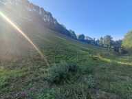 Terrain à vendre  BEYREDE JUMET (65) — photo 4