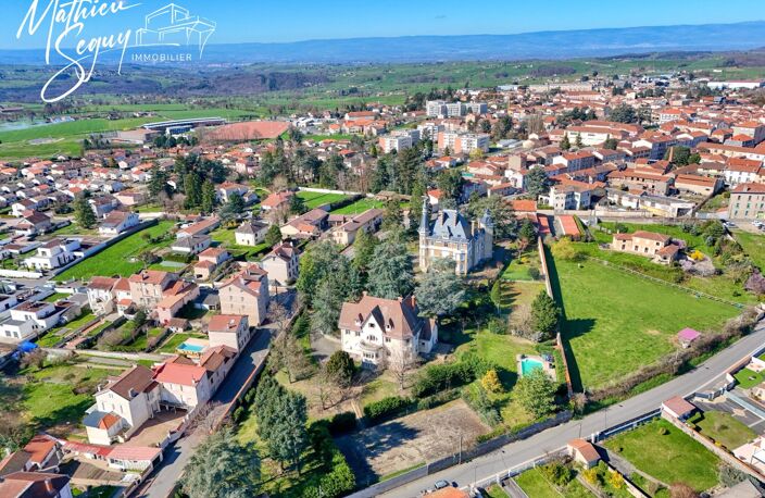 CHAZELLES SUR LYON - Propriété de Prestige — photo 3