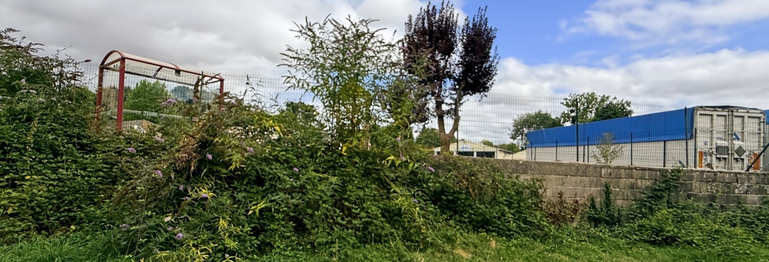 Photo N° 2