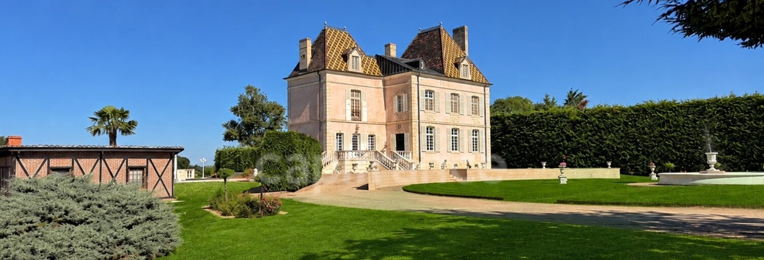 Maison 10 Pièces 343 m² à vendre à Saint-Jean-sur-Reyssouze (01560)