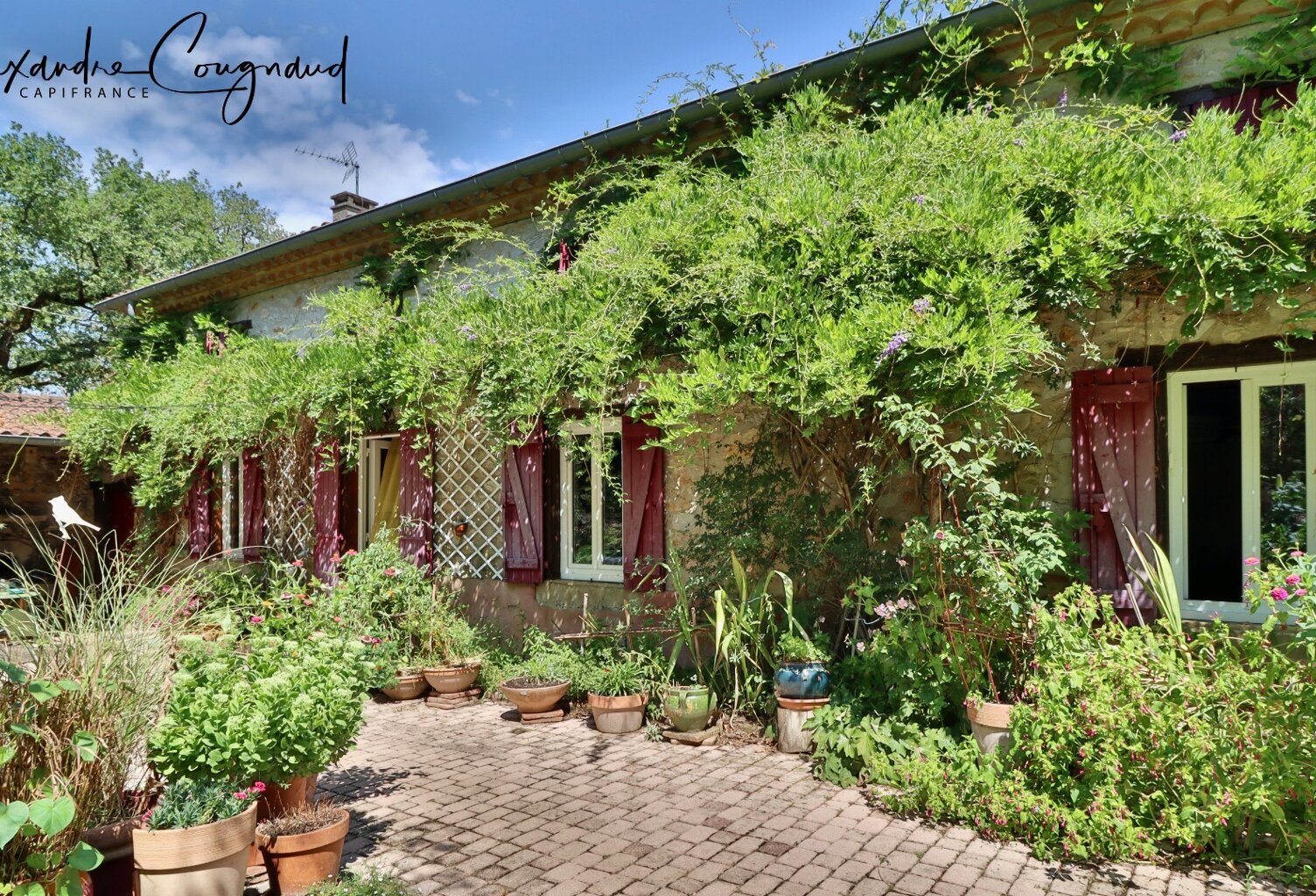 Soual (81) — Corps de ferme 187 m², 6 chambres, dépendances 440 m², terrain 9 800 m² — photo 1