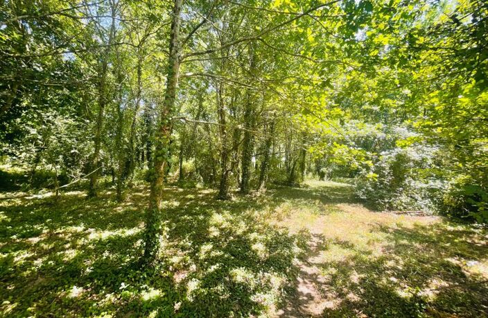 Ferme landaise à rénover intégralement  à Sort en Chalosse sur terrain boisé de plus d'un hectare — photo 4