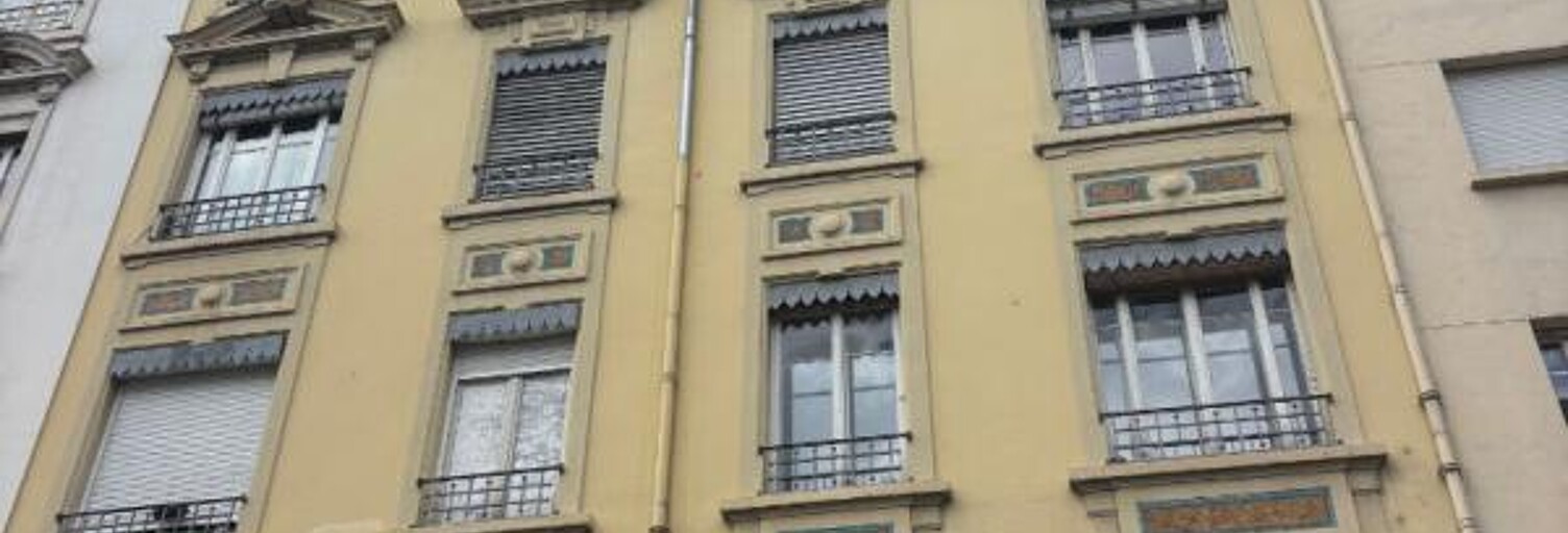 Appartement 1 Pièce 25 m² à vendre à Lyon 7 (69007)