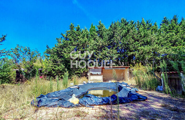 terrain — photo 2