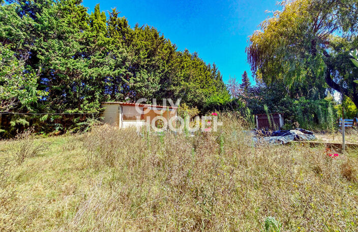 terrain — photo 3
