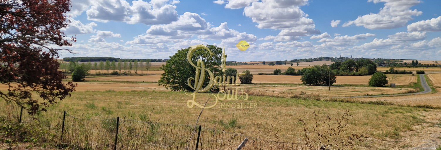 Maison 2 Pièces 50 m² à vendre à Faye-la-Vineuse (37120)