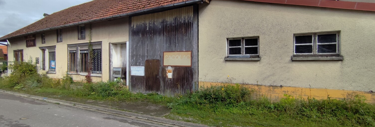 Maison 8 Pièces 250 m² à vendre à Trouans (10700)