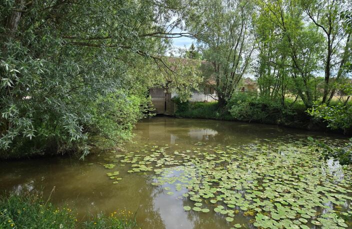 MOULIN — photo 4