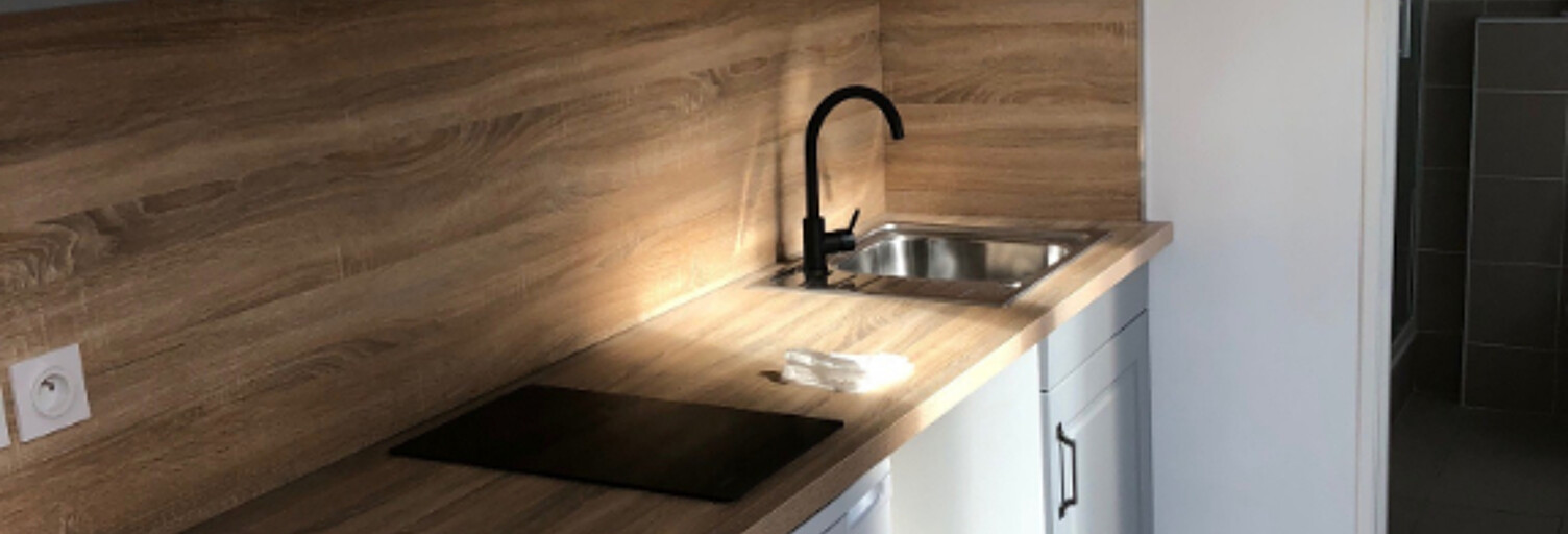 Appartement 1 Pièce 18 m² à louer à Oullins-Pierre-Bénite (69600)