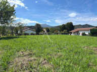 St Pée sur Nivelle - quartier Ibarron terrain constructible de 2000 m² — photo 3