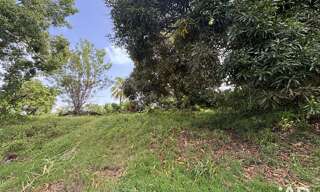 Terrain  2535 m² à vendre à Le Lamentin (97232)