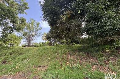 Terrain  315000 €