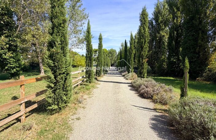 BEDARRIDES - MAS RENOVE EN 2016 DANS UN MAGNIFIQUE PARC ARBORE D — photo 2