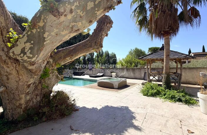 BEDARRIDES - MAS RENOVE EN 2016 DANS UN MAGNIFIQUE PARC ARBORE D — photo 4