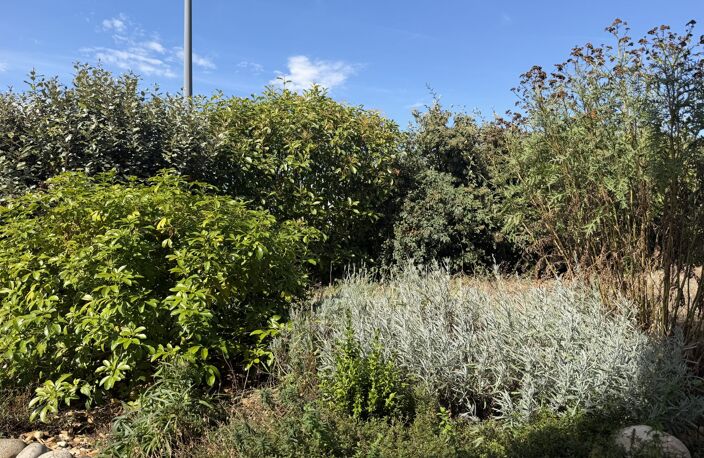 ROMANS OUEST — photo 3