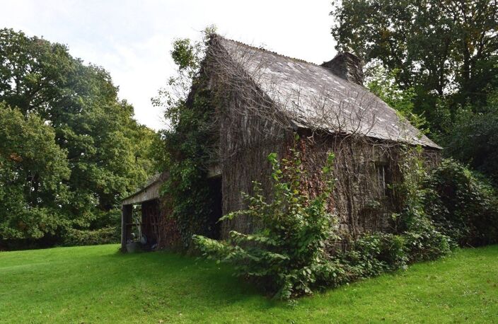 Maison — photo 4