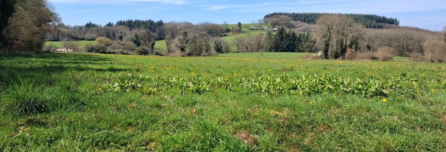 Terrain  1508 m² à vendre à Neuvic-Entier (87130)