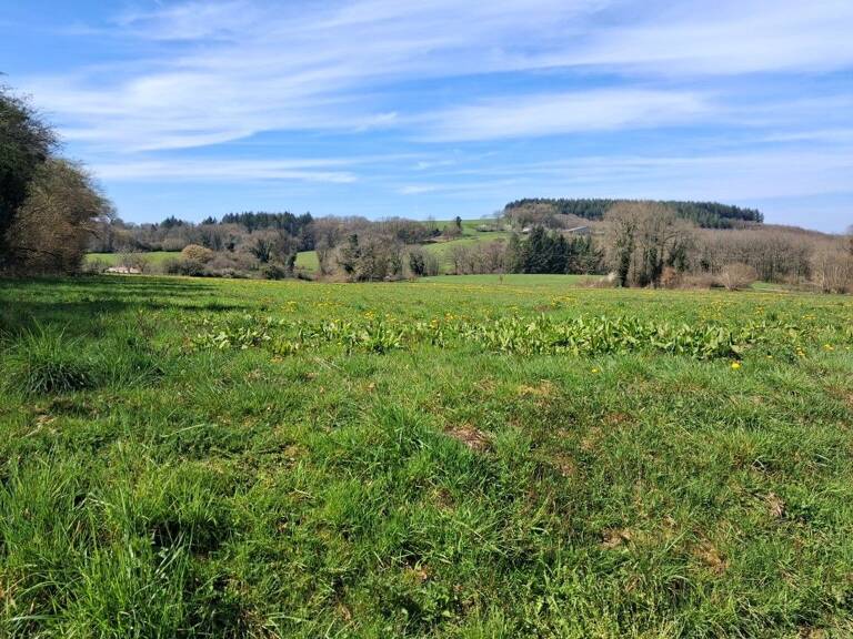 Terrain — photo 1