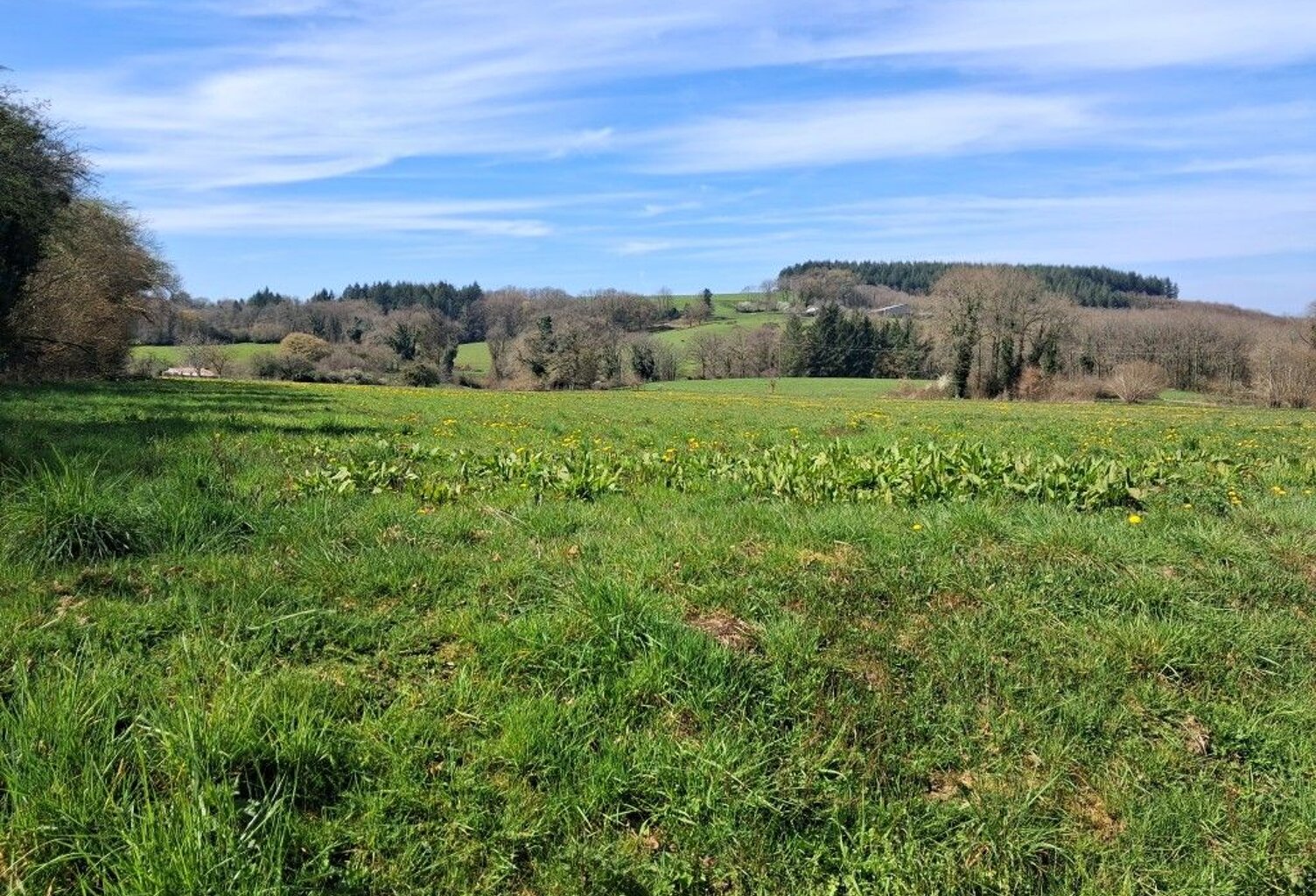 Terrain — photo 1