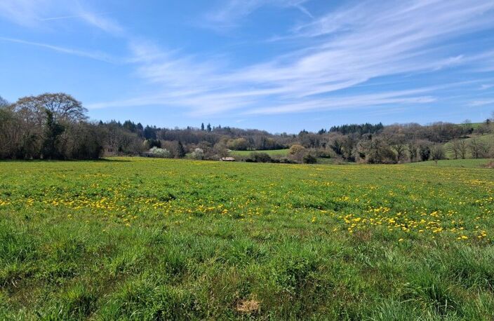 Terrain — photo 2