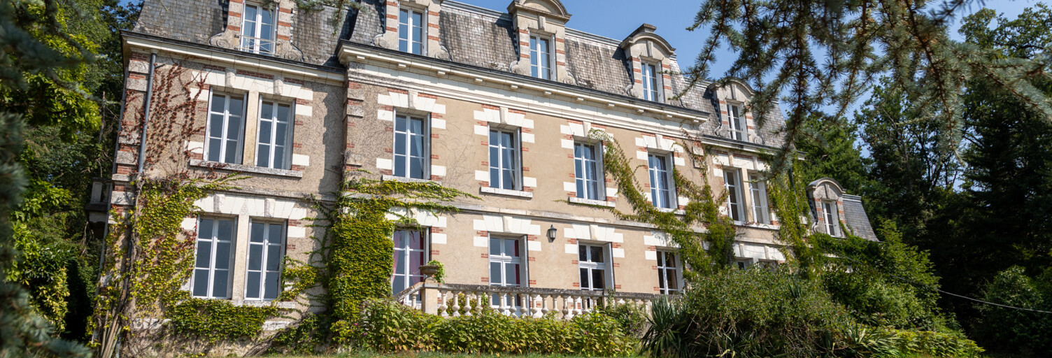Maison 26 Pièces 558 m² à vendre à Veuzain-sur-Loire (41150)