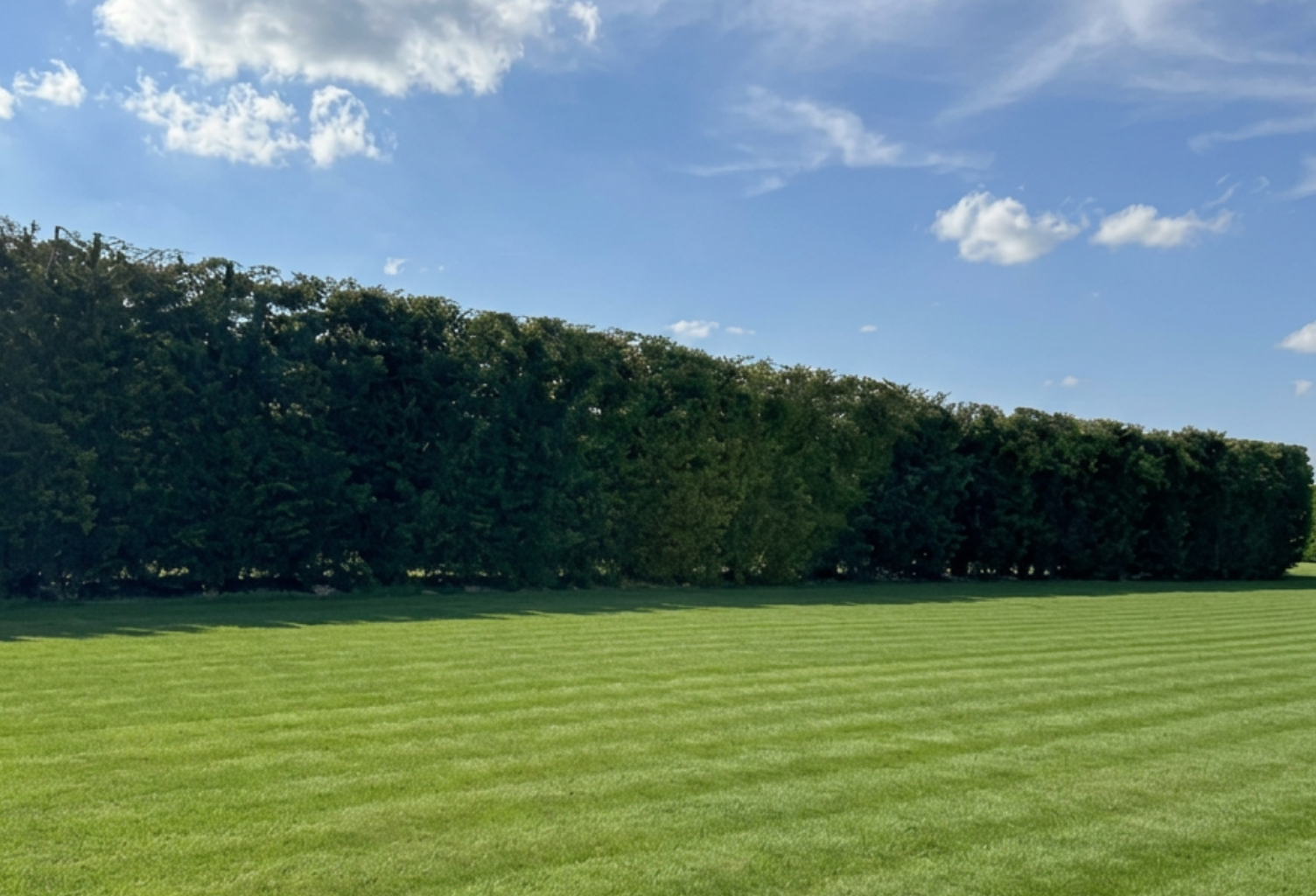 Vente Terrain 1 000 m&sup2; — photo 1