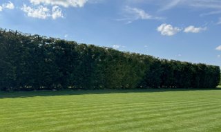 Terrain  1000 m² à vendre à Poucharramet (31370)