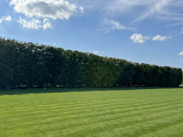 Vente Terrain 1 000 m&sup2; — photo du bien