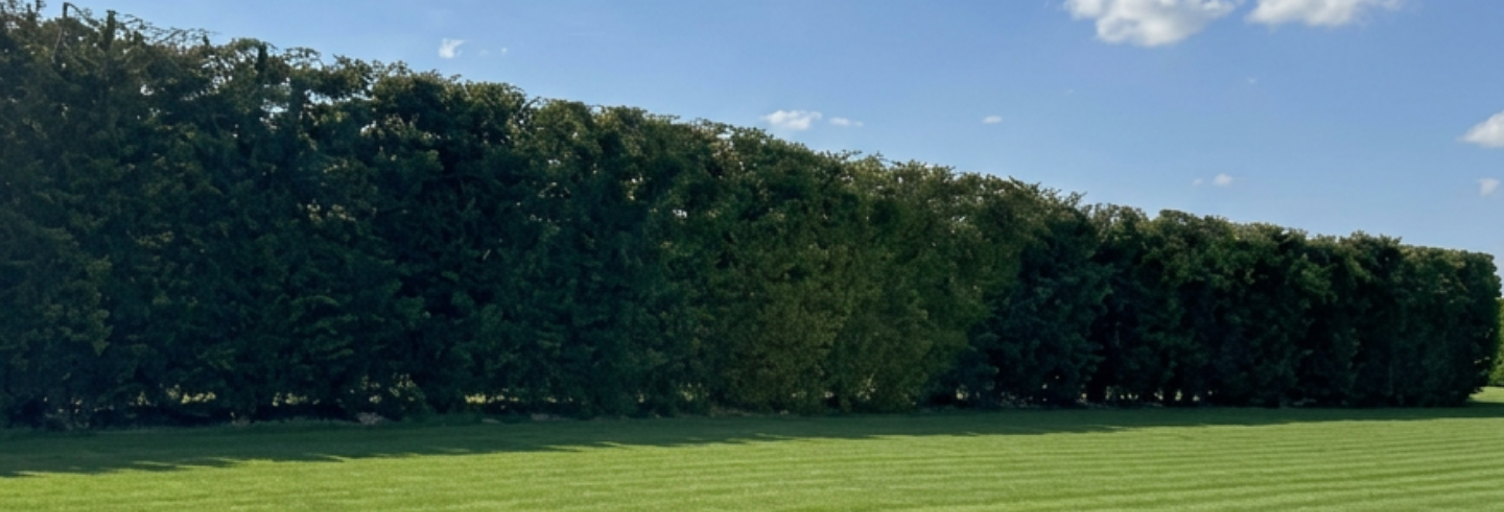 Terrain  1000 m² à vendre à Poucharramet (31370)